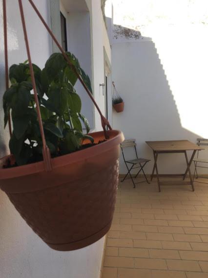 Casa Da Madrinha Villa Vila do Bispo Bagian luar foto